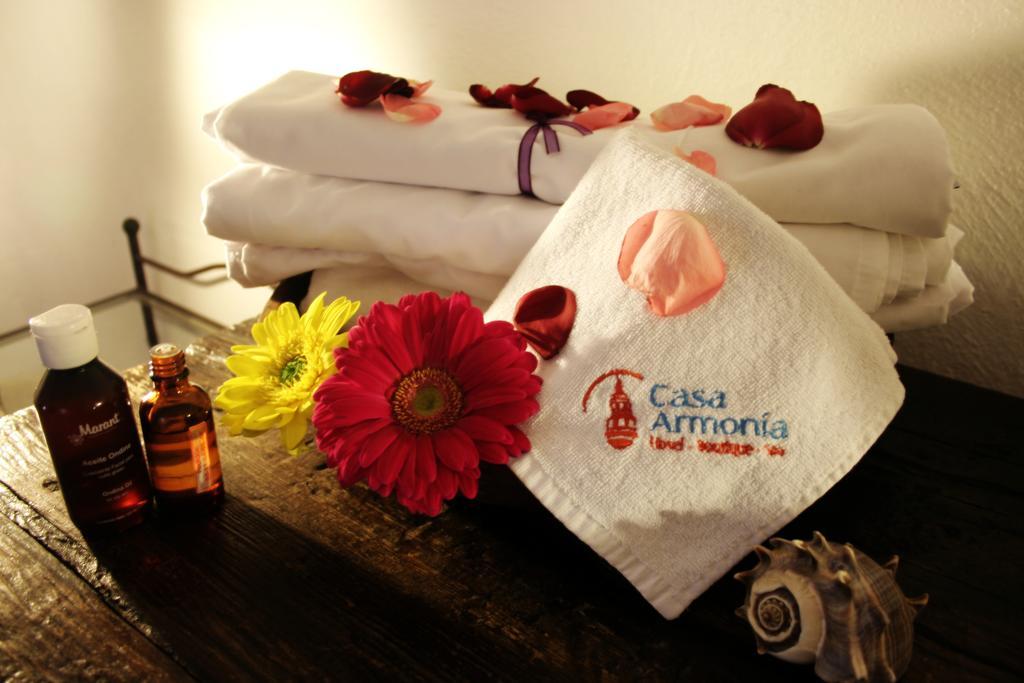 Hotel Casa Armonia トラケパケ エクステリア 写真
