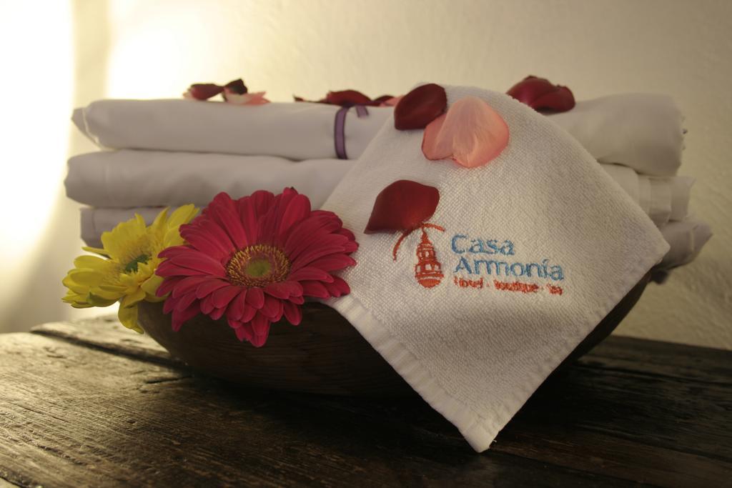 Hotel Casa Armonia トラケパケ エクステリア 写真